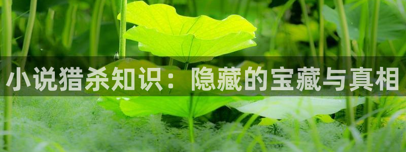 镇魂小说网app：小说猎杀知识：隐藏的宝藏与真相