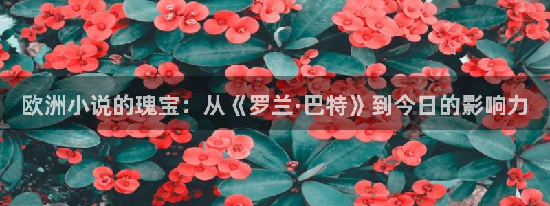 镇魂小说网在线阅读：欧洲小说的瑰宝：从《罗兰·巴特》到今日的影响力