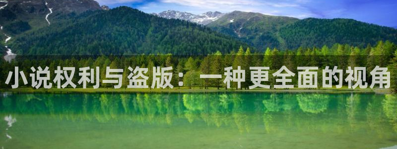 镇魂小说番外全：小说权利与盗版：一种更全面的视角