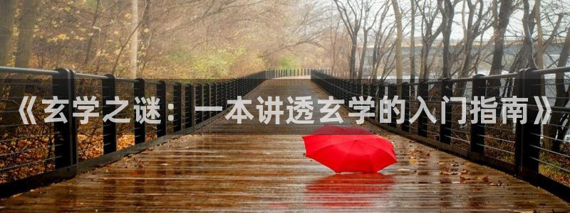 镇魂小说在线观看：《玄学之谜：一本讲透玄学的入门指南》